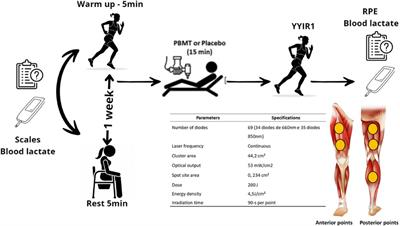 Innovative integration: optimizing performance through warm-up and photobiomodulation in high-intensity test